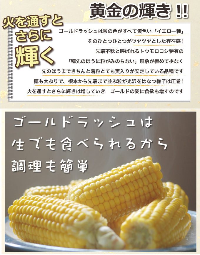 ゴールドラッシュ(10本入)