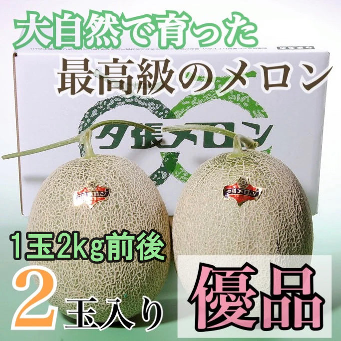 夕張メロン【優品】2玉入り(1玉2kg前後) 1箱