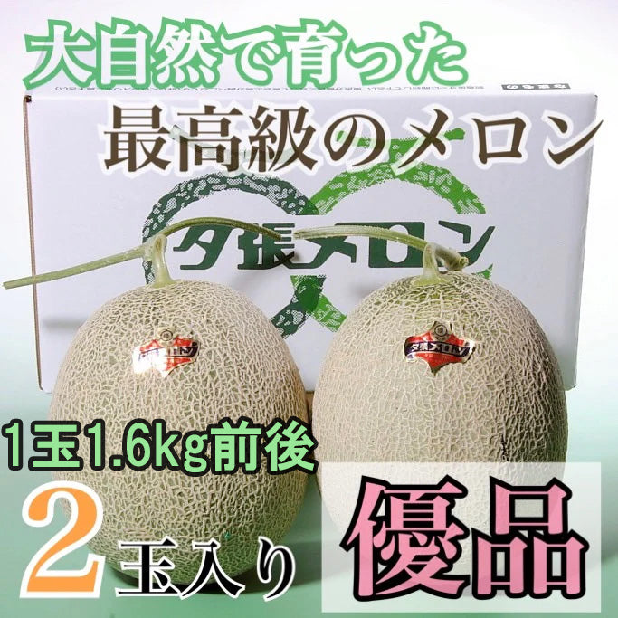 夕張メロン【優品】2玉入り(1玉1.6kg前後) 1箱