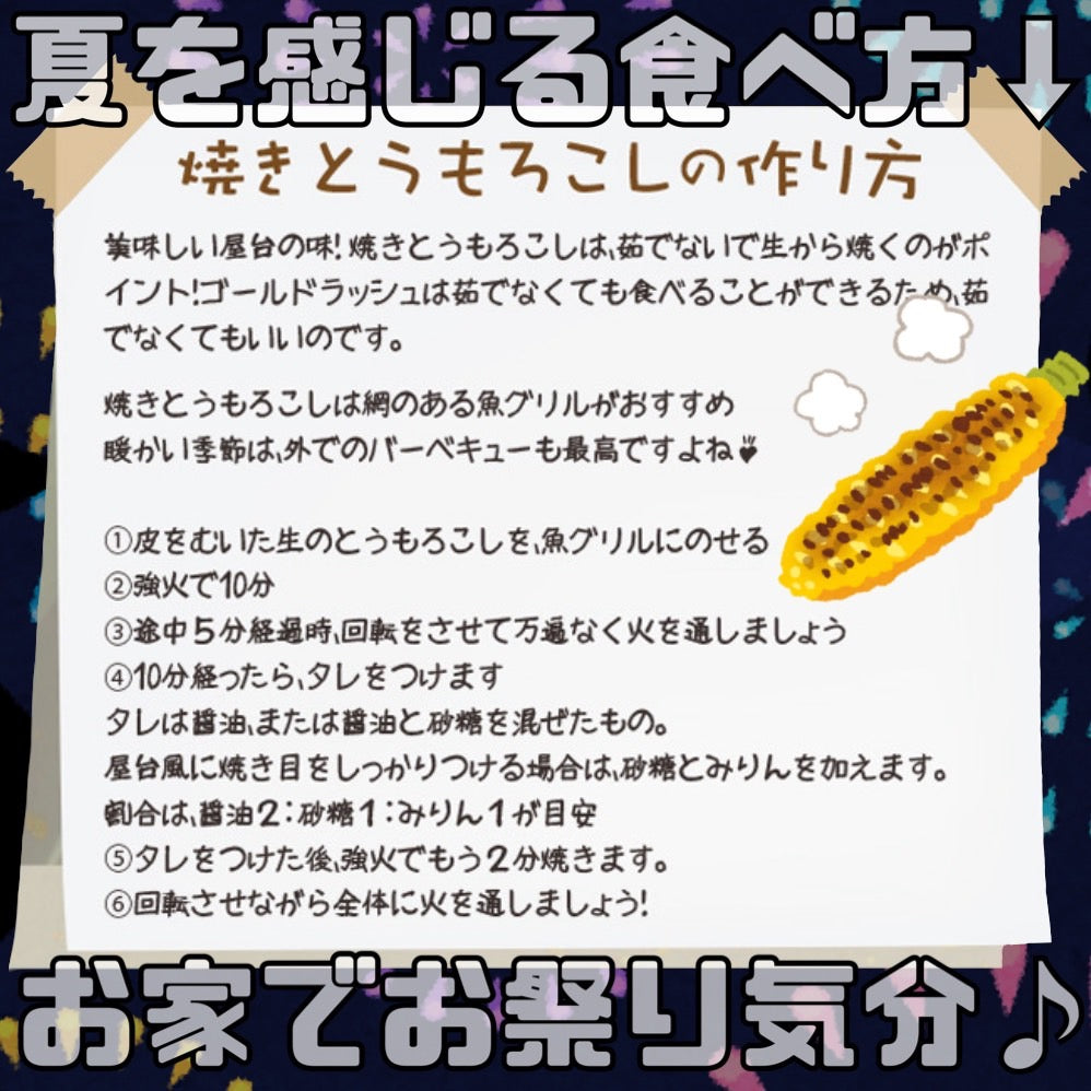 【予約受付中】とうもろこしゴールドラッシュ(L~2L 10本入り)