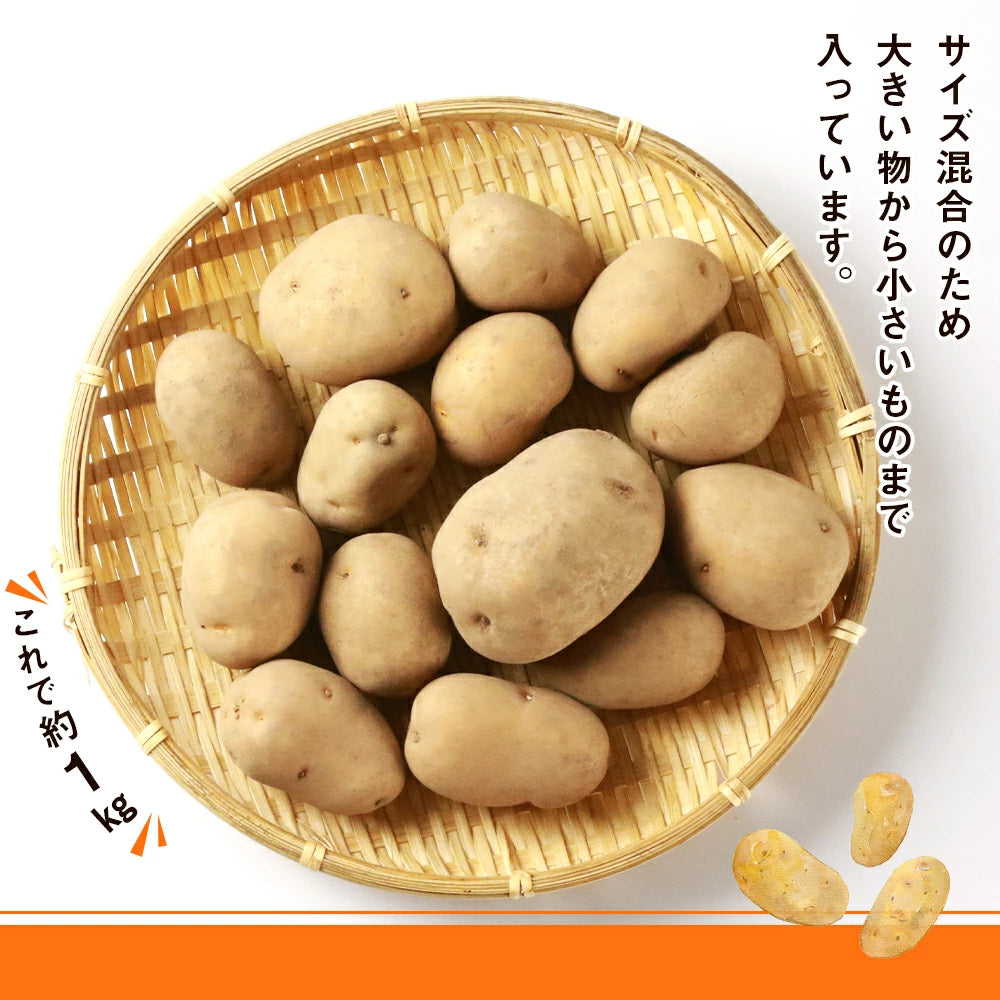 インカのめざめ(S~Mサイズ混合)5kg