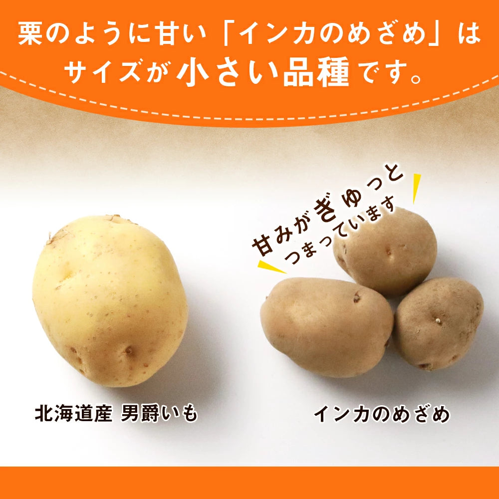 インカのめざめ(S~Mサイズ混合)5kg