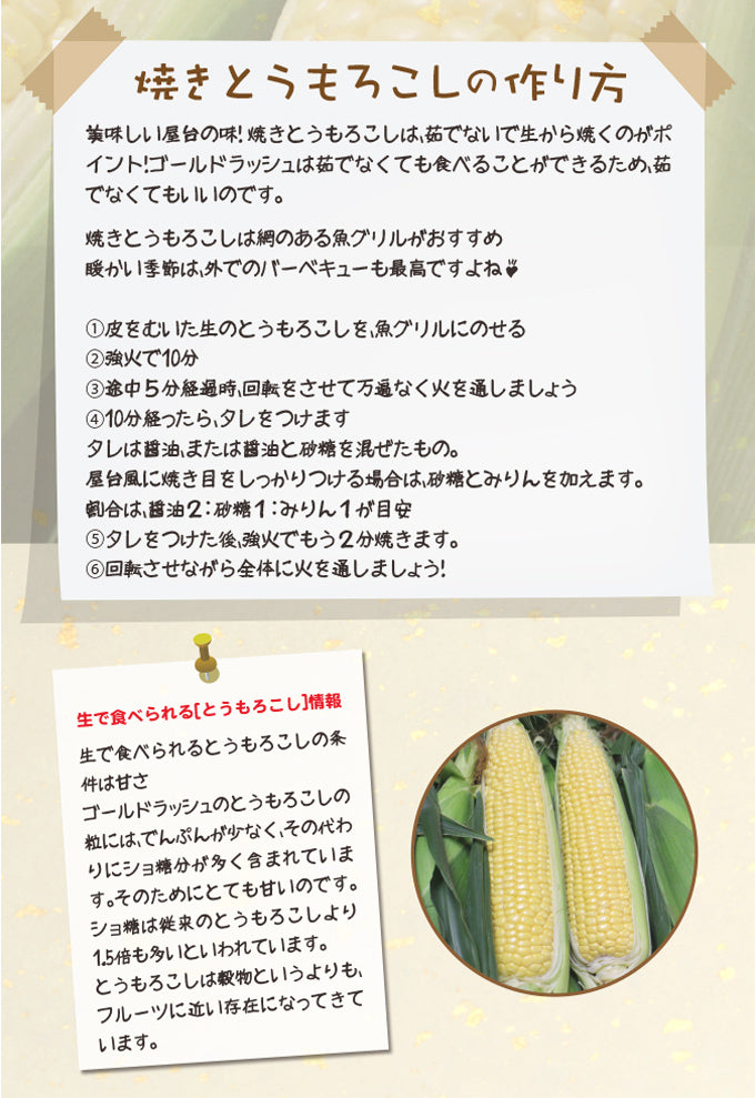 ゴールドラッシュ(10本入)