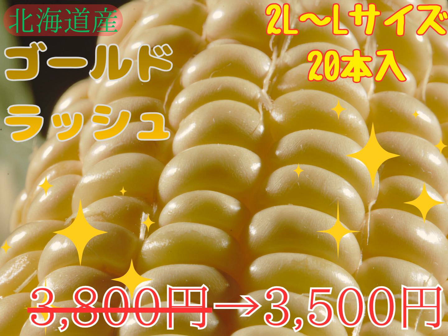 【予約受付中】とうもろこしゴールドラッシュ（L～2Lサイズ 20本入り）