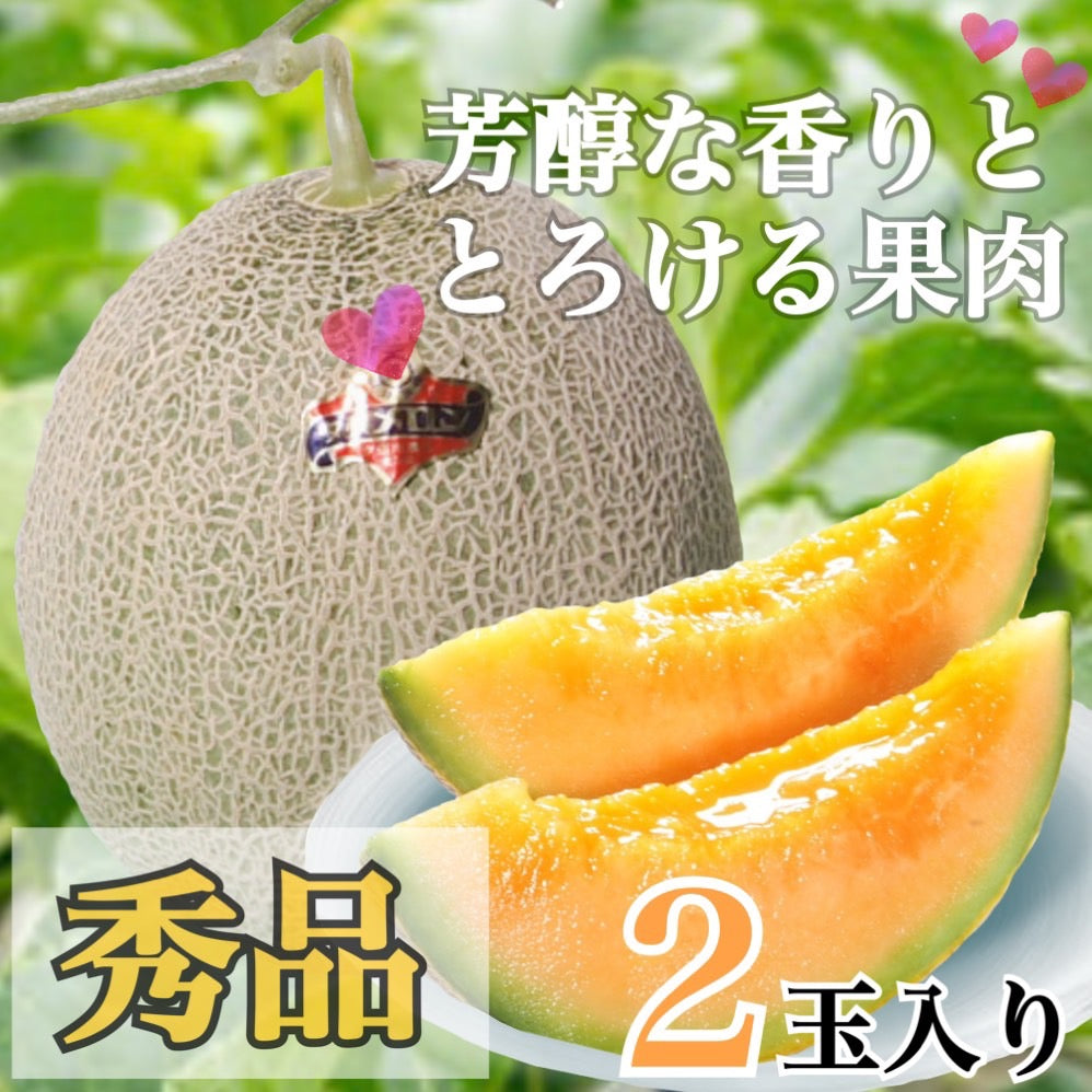 夕張メロン【秀品】（2玉入り×1ケース）【予約販売中】