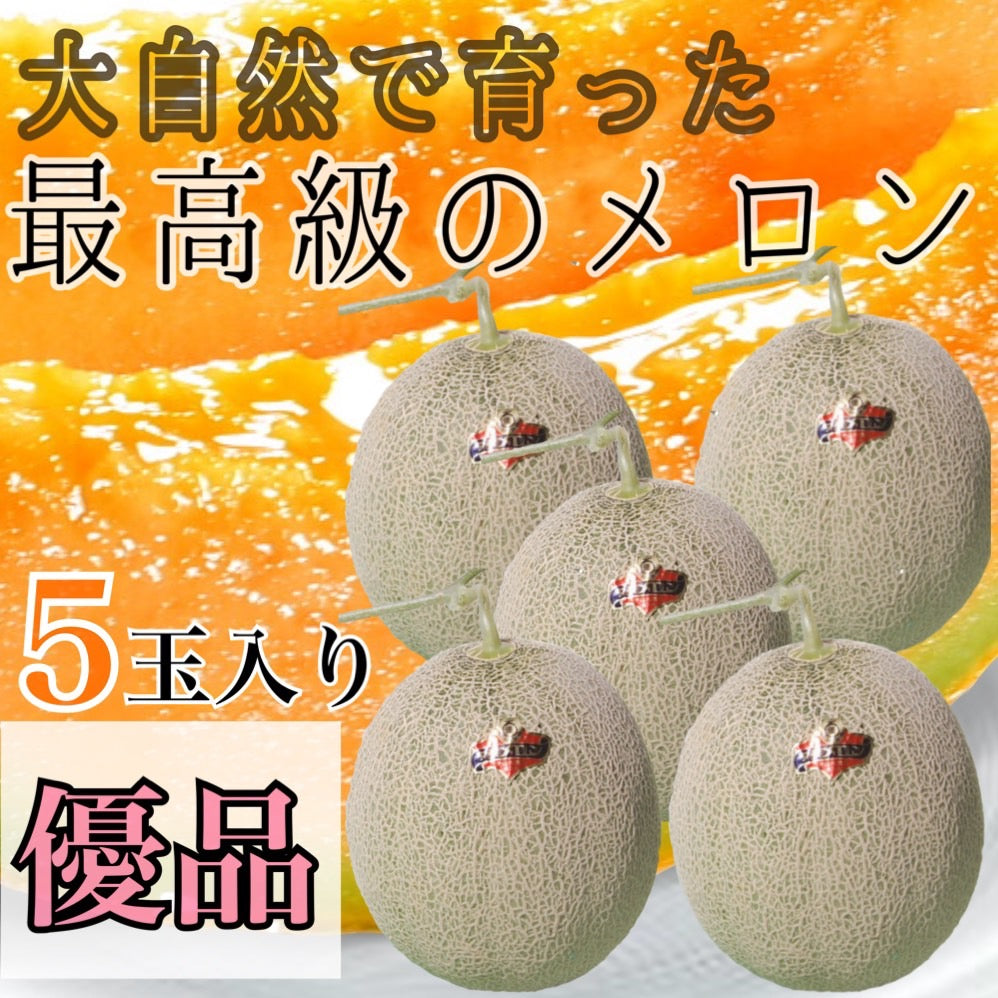 夕張メロン【優品】（5玉入り×1ケース）【予約販売中】