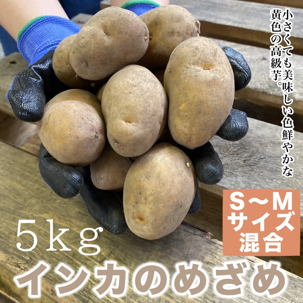 インカのめざめ（S~Mサイズ混合）5kg – 有限会社かわみなみ
