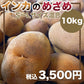 インカのめざめ（S~Lサイズ混合）10ｋｇ