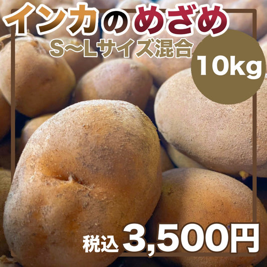 インカのめざめ（S~Lサイズ混合）10ｋｇ